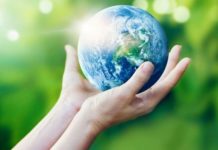 A K&H lett az év zöld nagyvállalata