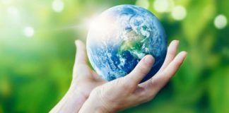 Zöld innovációkkal erősít a Zwack