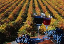 Kiderült, melyik a magyarok kedvenc borvidéke