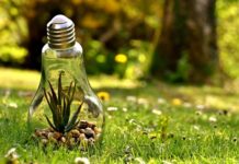 Zöld kampány a Jófogástól