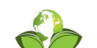 Ezek lehetnek a legfontosabb fenntarthatósági trendek idén