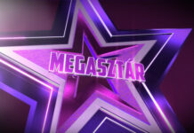 Jövőre sem maradunk Megasztár nélkül