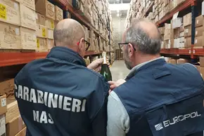 Picture 12 - copyright Europol and Caribinieri Nas