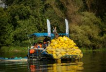 Több mint 29 tonna hulladékot gyűjtöttek a petkalózok