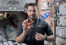 Jól szerepelt a magyar űrcsoki