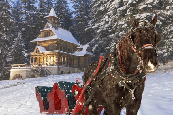 1698408688_zakopane-advent