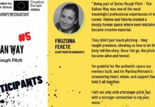 Magyar sorozatötlet tarolt a nemzetközi pitch-versenyen