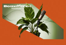 A Mediatorral kampányol az Oázis