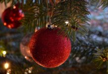 Idén a Yettel állja 100 osztály karácsonyfáját