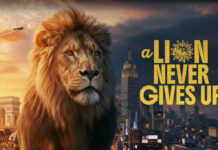 Ünnepi jókivánságok a Publicis Groupe-tól