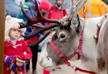 Ezzel készül az ünnepekre a Viasat World