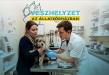 Állatorvosi reality érkezik jövőre a TV2-re