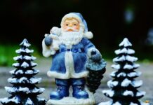 Idén többet kell fizetnünk a karácsonyfáért