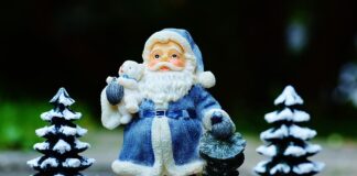 Idén többet kell fizetnünk a karácsonyfáért