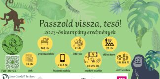 Több mint 10 ezer használt mobilt gyűjtöttek össze