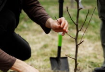 Így figyel a SPAR a természetre