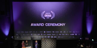 Ezekért a filmekért rajongott a hazai közönség a BIDF-en