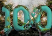 Ezek lesznek a legmeghatározóbb trendek idén