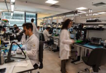 Erősíthetik a felújított eszközök piacát az új, olcsó Apple modellek