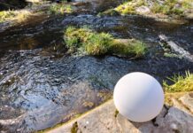 Olcsóbb és meghittebb a természeti temetés