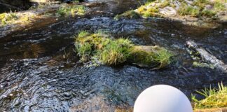 Olcsóbb és meghittebb a természeti temetés