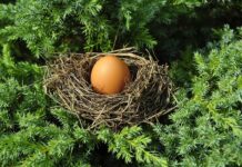 Magyar élelmiszer-előállító kapott nemzetközi díjat