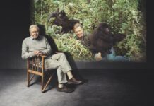 100 éves a világ legismertebb természetfilmese, Sir David Attenborough
