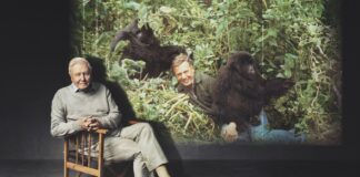 100 éves a világ legismertebb természetfilmese, Sir David Attenborough