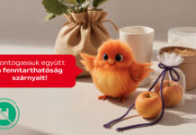 A mikroműanyagok veszélyeire hívja fel a figyelmet az Auchan