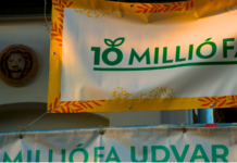 Fasor lesz a 10 millió Fa Ördögkatlanos fellépéséből