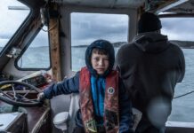 Díjazott filmek, kultikus alkotók és 80 dokumentumfilm az idei Verzión