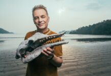 Az evolúció titkait kutatja a BBC új sorozata